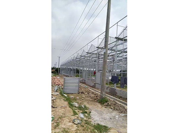 江西新余市珠珊鎮橫板橋玻璃溫室